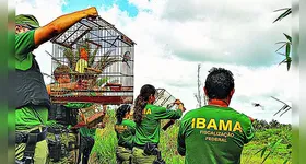 Amanhã é o grande dia da prova do Ibama