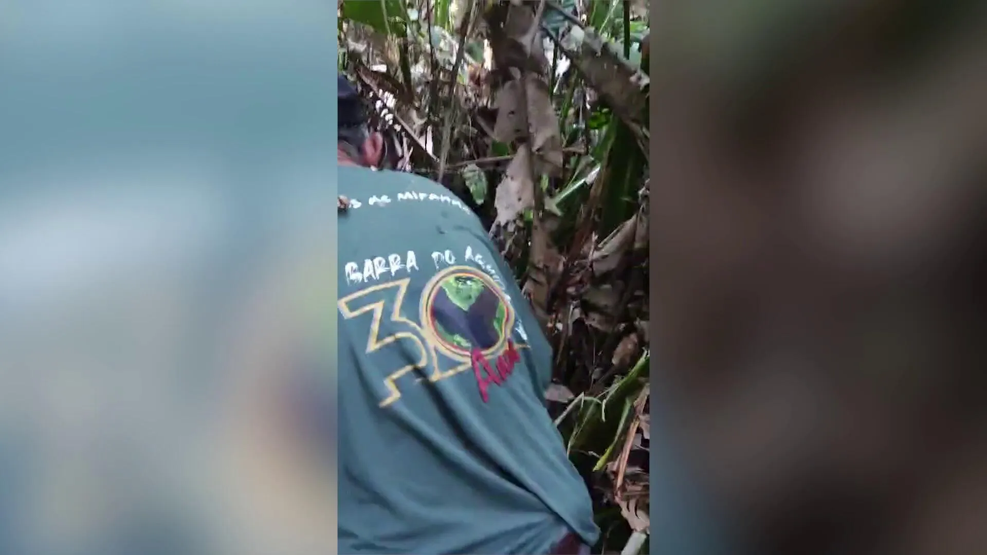 Imagem ilustrativa da notícia Vídeo: Onça reaparece e avança contra grupo durante as buscas